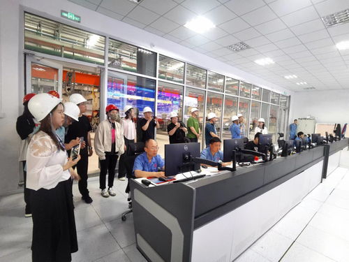 技術(shù)驅(qū)動(dòng)、智造升級(jí) 德城區(qū)百億級(jí)綠色建材產(chǎn)業(yè)新紀(jì)元的崛起與賦能